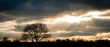 Sun shine through. - бесплатный image #287625